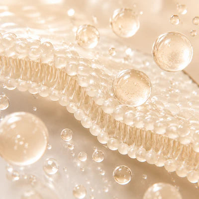 Ceramide NP